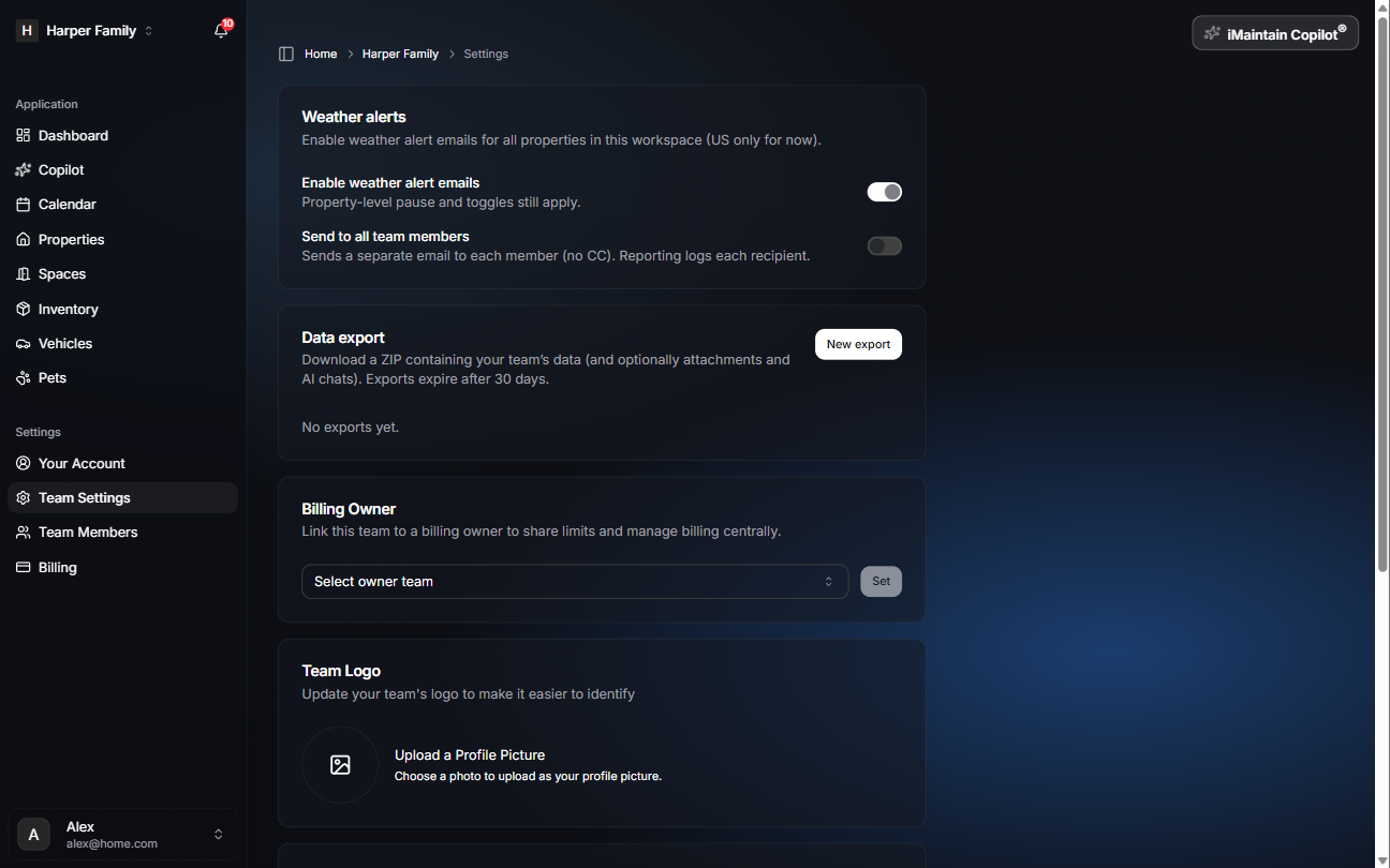 Team Settings page showing the Data export card